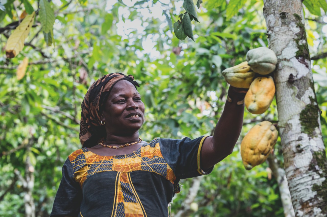 Programma di cacao sostenibile Cacao-Trace