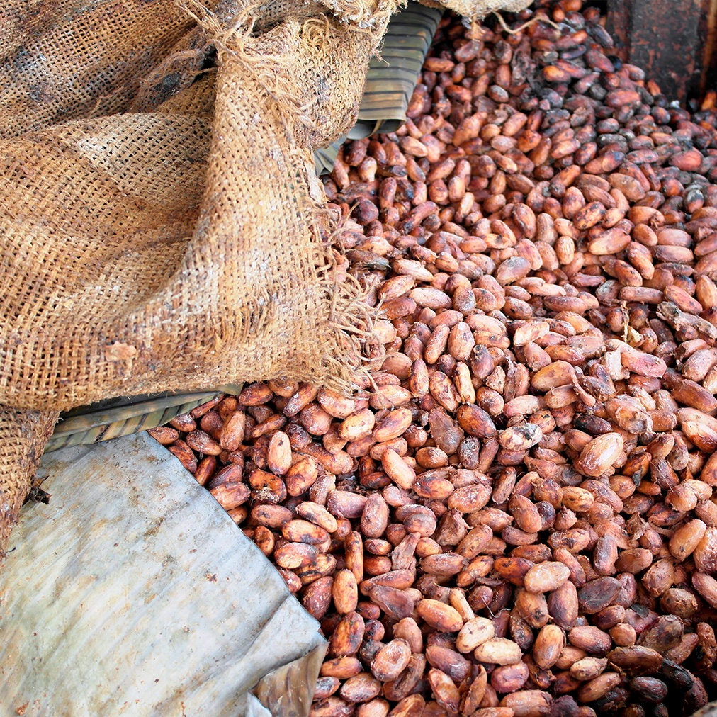 Crafted through Unmatched Sensory and Fermentation Expertise 