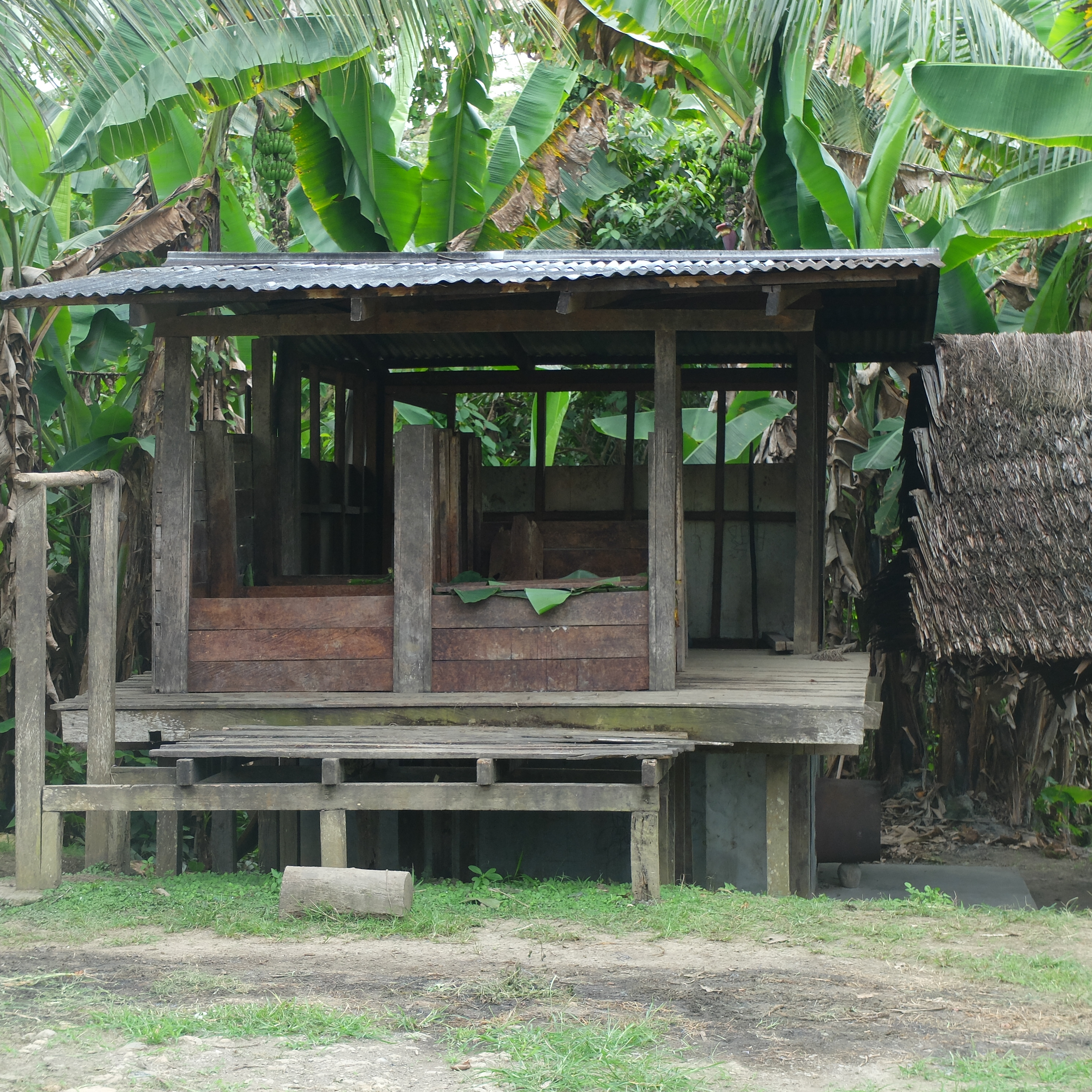 Cacao-Trace launches in Papua New Guinea