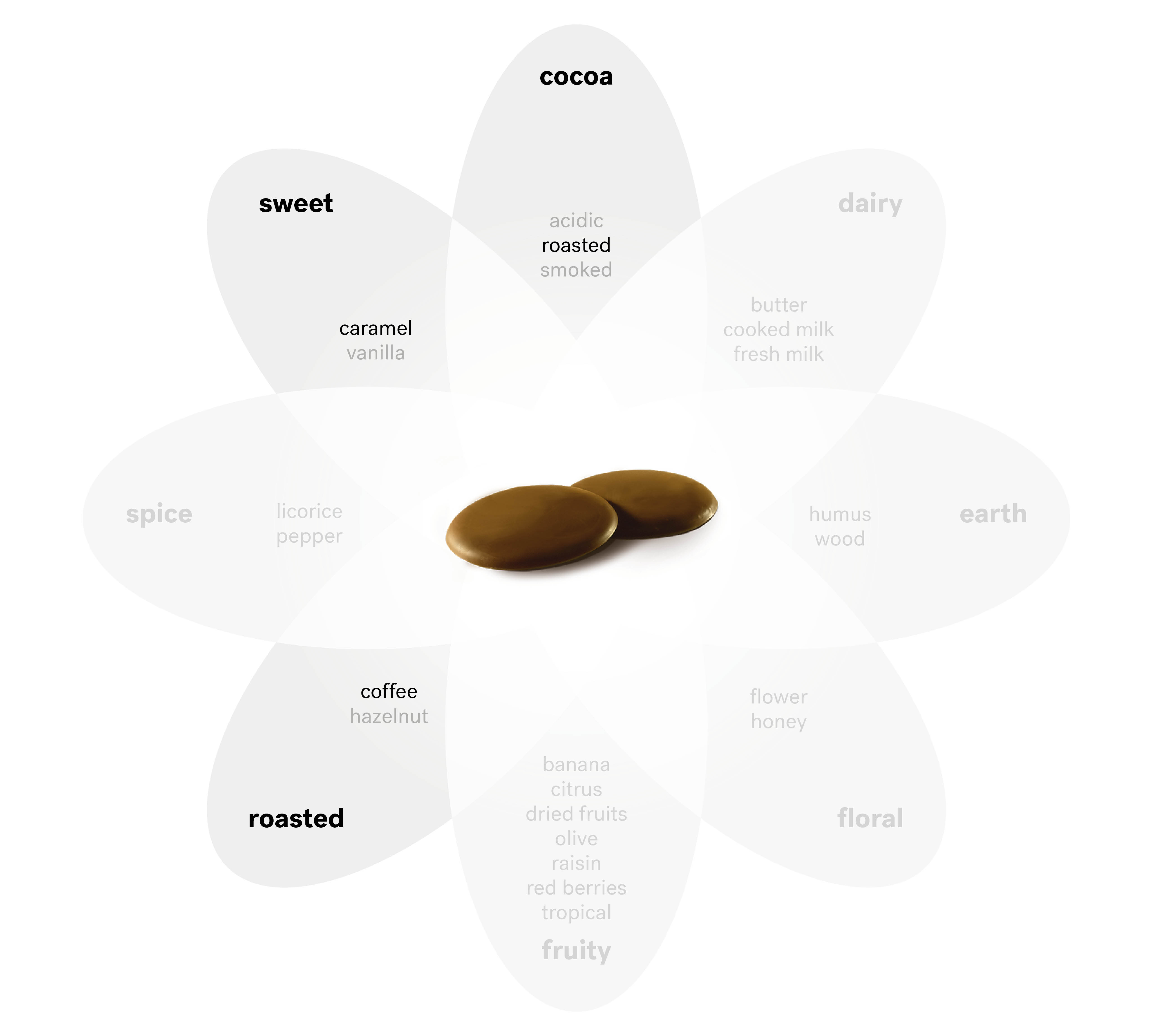 Learn about our taste and sensory expertise