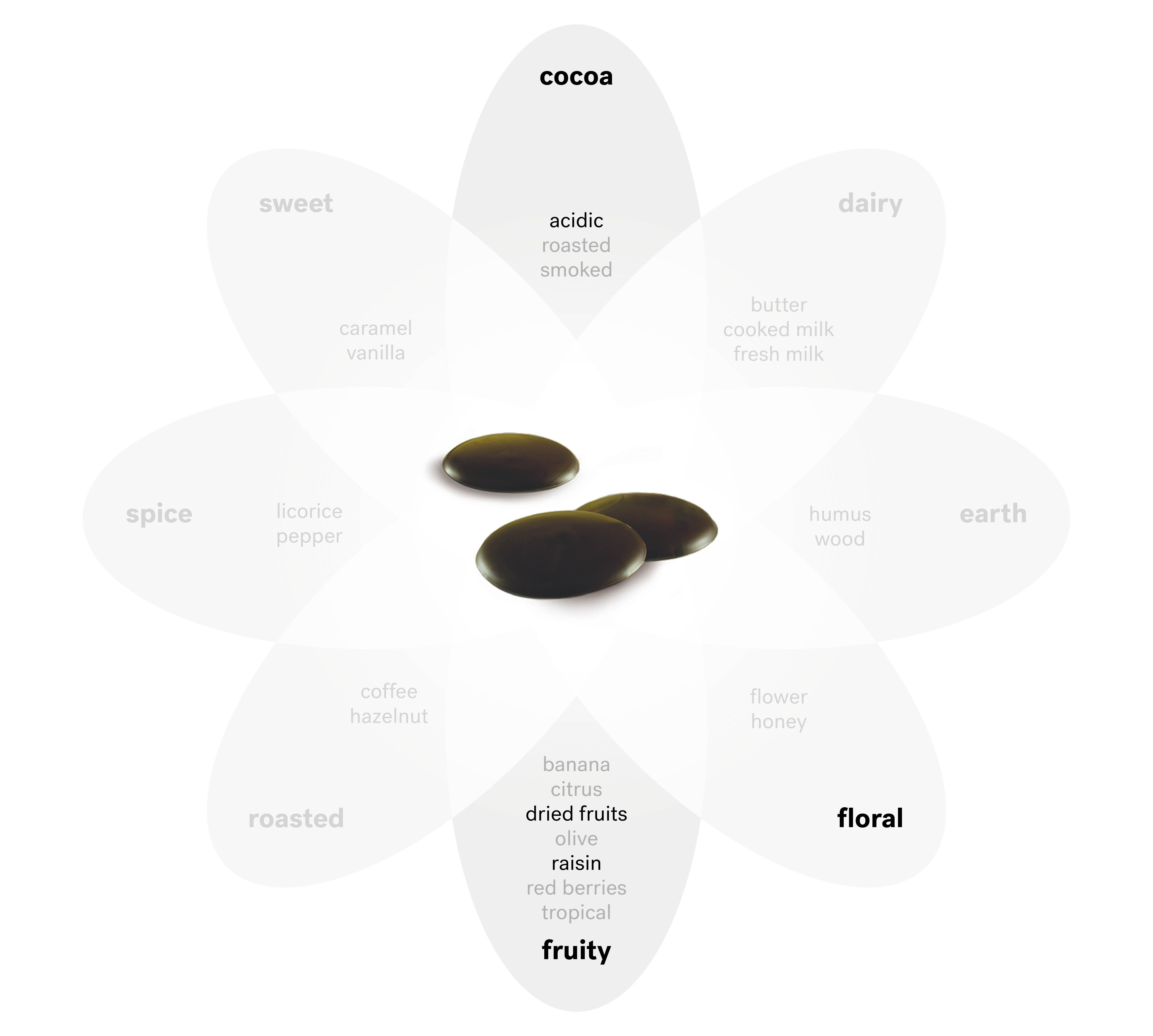 Learn about our taste and sensory expertise