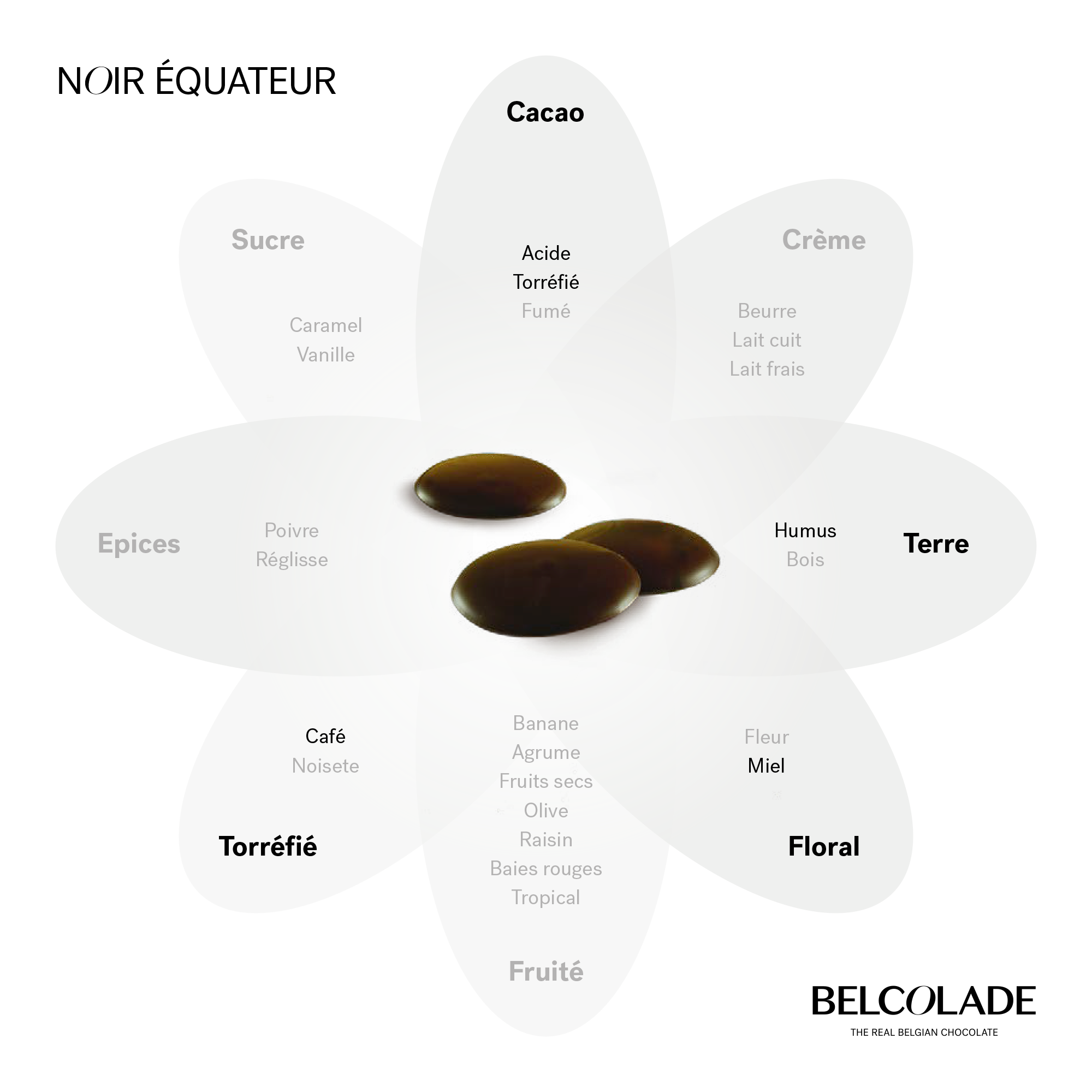 Learn about our taste and sensory expertise