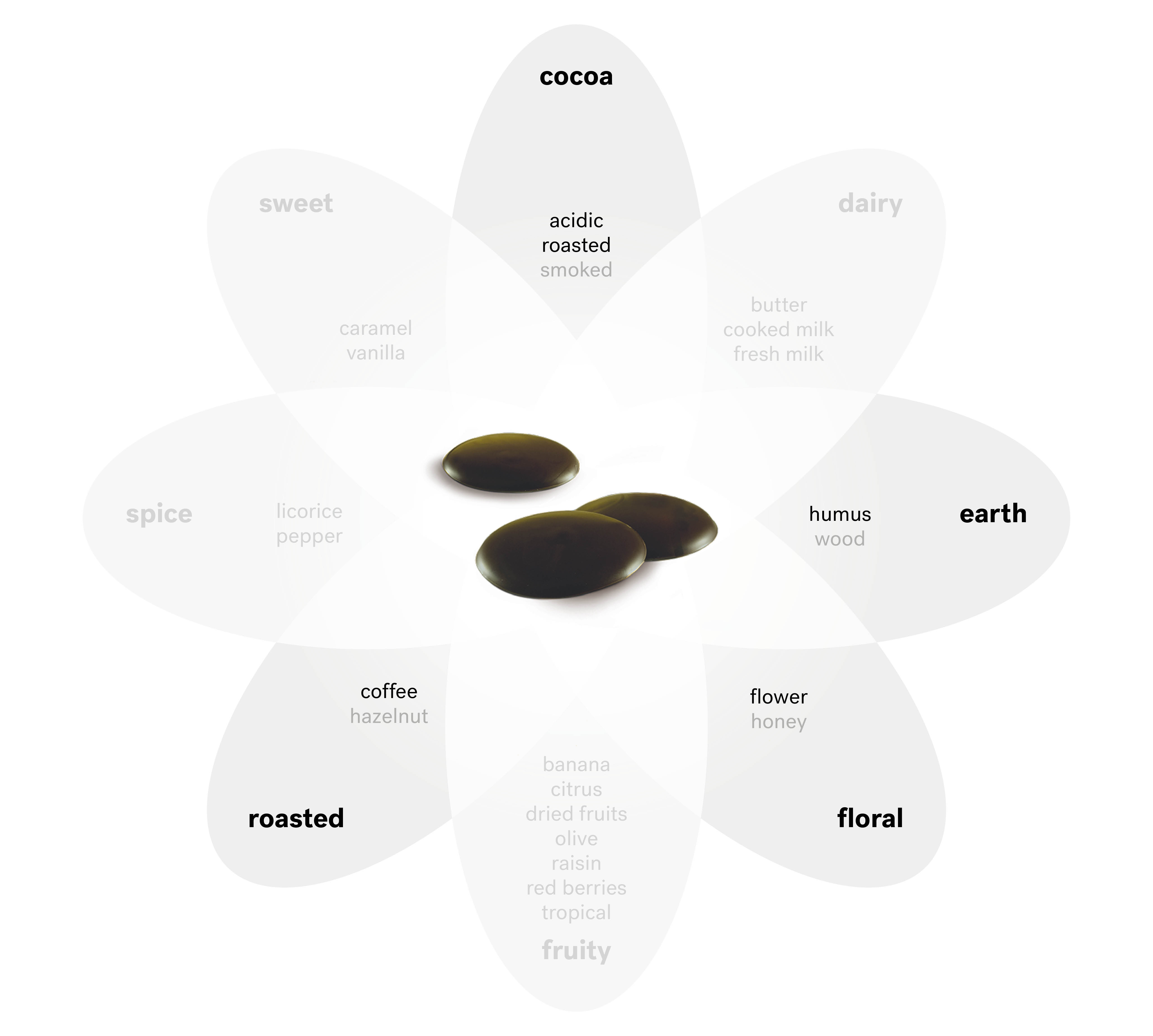 belcolade-origins-noir-ecuador-profil-de-gust
