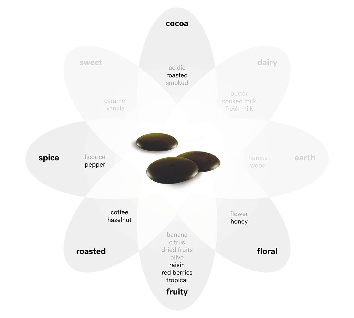 belcolade-origins-noir-papua-new-guinea-profil-de-gust